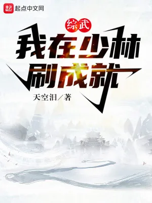 《综武：我在少林刷成就》小说封面