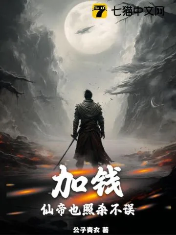 《加钱，仙帝也照杀不误》小说封面