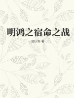 《明鸿之宿命之战》小说封面