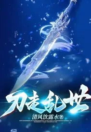 《刀走乱世》小说封面