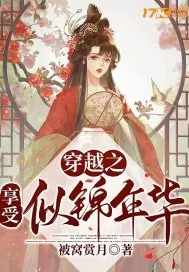 《穿越之享受似锦年华》小说封面