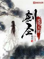 《爱骂人的剑圣》小说封面