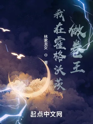 《我在霍格沃茨做卷王》小说封面
