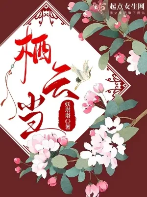 《栖云当》小说封面