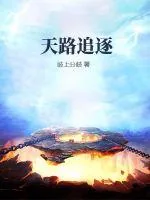 《天路追逐》小说封面