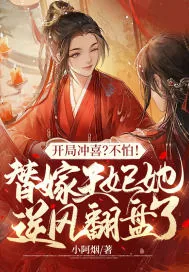 《开局冲喜？不怕！替嫁王妃她逆风翻盘了！》小说封面