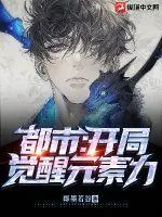 《都市：开局觉醒元素力》小说封面