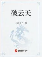 《破云天》小说封面