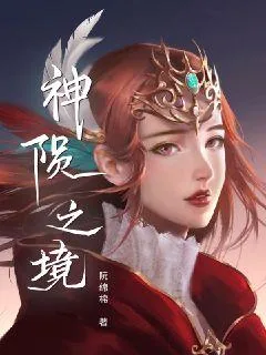 《神陨之境_羽阳传》小说封面