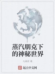 《蒸汽朋克下的神秘世界》小说封面