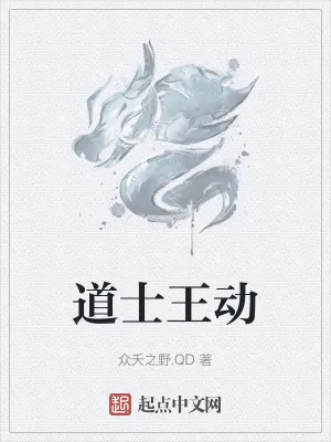 《道士王动》小说封面