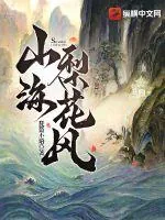 《山海梨花风》小说封面
