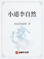 《小道李自然》小说封面
