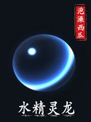 《水灵龙》小说封面