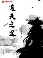 《通天之途》小说封面