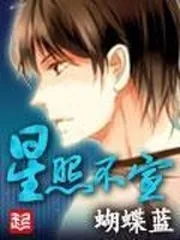 《星照不宣》小说封面