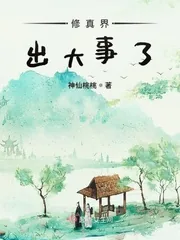 《修真界出大事了》小说封面