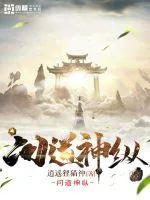 《问道神纵》小说封面