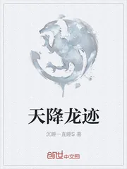 《天降龙迹》小说封面