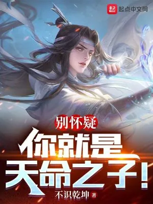 《别怀疑，你就是天命之子！》小说封面