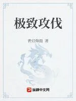 《极致攻伐》小说封面