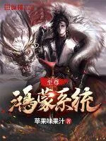 《至尊鸿蒙系统》小说封面