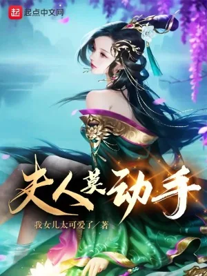 《夫人莫动手》小说封面