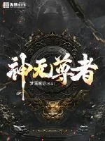 《神无尊者》小说封面