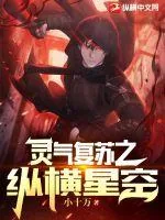 《灵气复苏之纵横星空》小说封面
