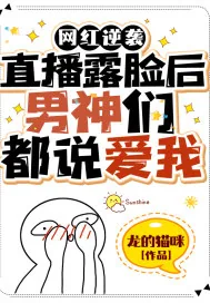 《网红逆袭：直播露脸后男神们都说爱我》小说封面