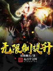 《无限制提升》小说封面