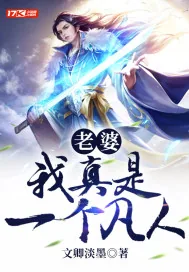 《老婆，我真是一个凡人！》小说封面