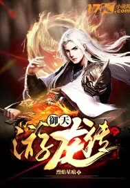 《御天游龙传》小说封面