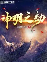 《神明之劫》小说封面