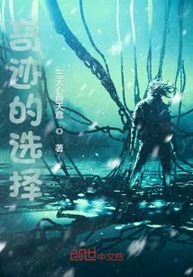 《奇迹的选择》小说封面