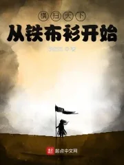《横扫天下从铁布衫开始》小说封面