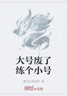 《大号废了练个小号》小说封面