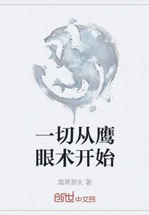 《一切从鹰眼术开始》小说封面