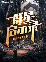 《群星启示录》小说封面