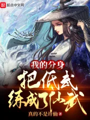 《我的分身把低武练成了仙武》小说封面