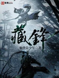 《藏锋》小说封面