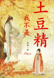 《我不是土豆精》小说封面