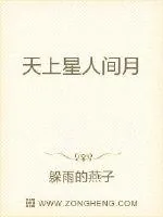 《天上星人间月》小说封面