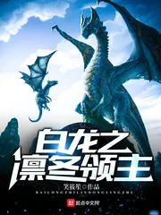 《白龙之凛冬领主》小说封面