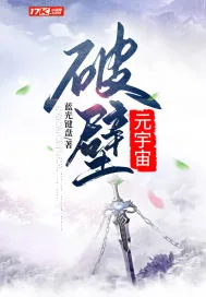 《元宇宙：破壁》小说封面
