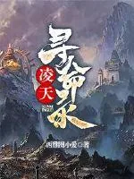 《凌天寻命录》小说封面