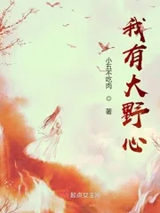 《我有大野心》小说封面
