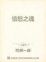 《愤怒之魂》小说封面
