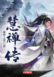 《慧禅传》小说封面