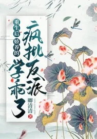 《重生后，娇养的疯批反派学乖了》小说封面